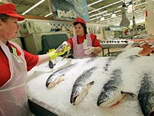 Экспортные цены на норвежский лосось выросли до 30-летнего максимума