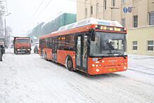 Дети-сироты смогут бесплатно ездить в нижегородском общественном транспорте