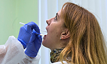 В России взяли почти 800 тысяч анализов на коронавирус