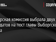 Конкурсная комиссия выбрала двух кандидатов на пост главы Выборгского района