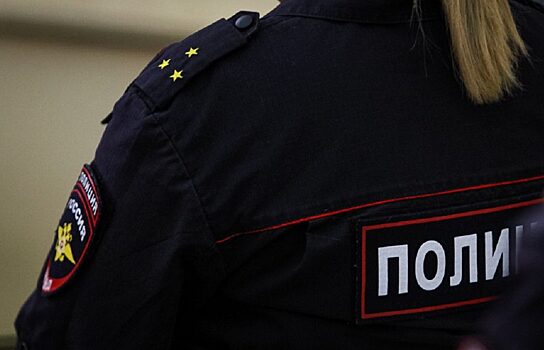 Юные бизнесмены: в Челябинске подростки воровали металлолом с поезда