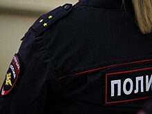 Юные бизнесмены: в Челябинске подростки воровали металлолом с поезда