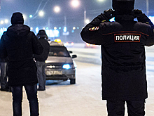 Жена бизнесмена Лернера стала жертвой беспредела коллекторов