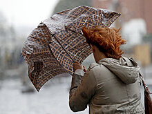 МЧС предупреждает о сильном ветре до утра 3 марта