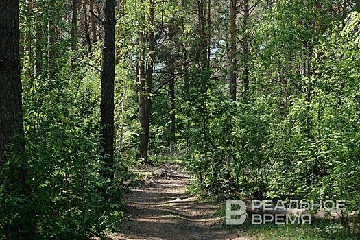 За прошедшие сутки в России потушили 15 лесных пожаров