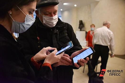 В Общественной палате выступили за создание COVID-free зон в России