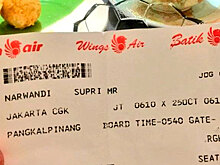 В Сети нашелся спасшийся с упавшего Boeing 737 в Индонезии