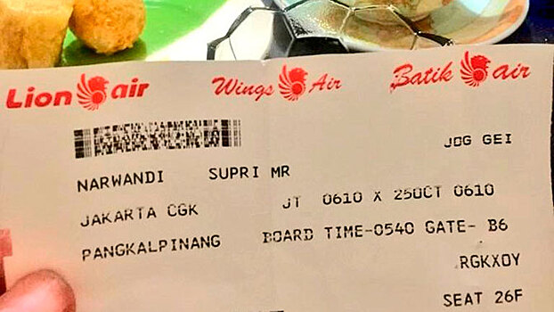 В Сети нашелся спасшийся с упавшего Boeing 737 в Индонезии