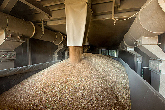В российский госфонд на хранение заложили около 2,5 млн тонн зерна
