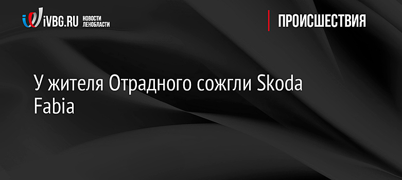 У жителя Отрадного сожгли Skoda Fabia