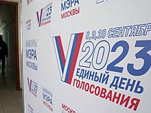 Депутаты МГД назвали удобным дистанционное голосование на выборах мэра Москвы