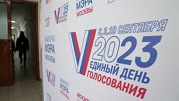 Депутаты МГД назвали удобным дистанционное голосование на выборах мэра Москвы