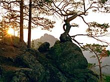 Национальный парк Красноярские столбы открывают для туристов: дата