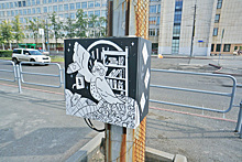 Челябинские урбанисты нарисовали мудрую сову возле ЮУрГУ