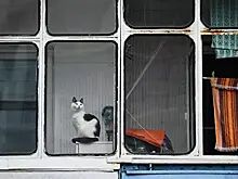 Почему шины не стоит хранить на застекленном балконе