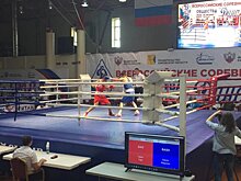 В Киров приедут олимпийские чемпионы по боксу
