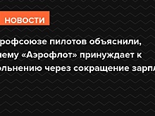 Профсоюз пилотов: «Аэрофлот» урезает зарплаты летному составу, чтобы не потерять господдержку