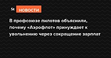 Профсоюз пилотов: «Аэрофлот» урезает зарплаты летному составу, чтобы не потерять господдержку