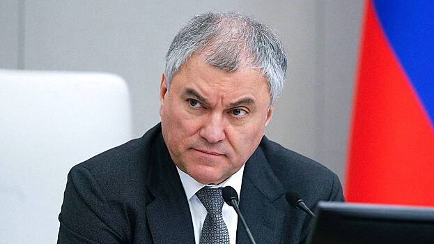 Володин заявил о подготовке поправок о запрете в России деятельности МУС