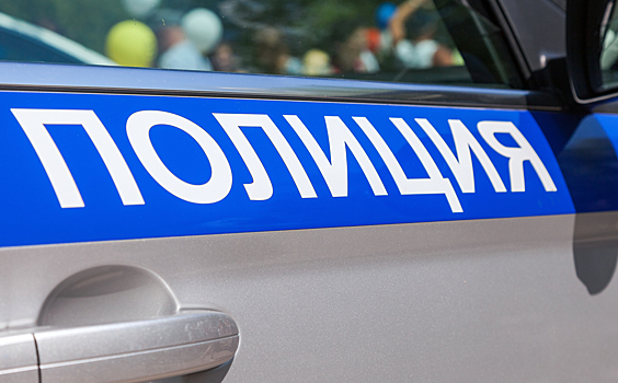 Полиция пресекла несанкционированные уличные автогонки в Новой Москве