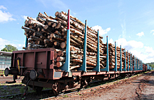 Бизнес ожидает снижения цен на древесину до 20%