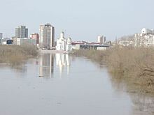 Спасатели в Курганской области откачали воду из 3 многоквартирных домов