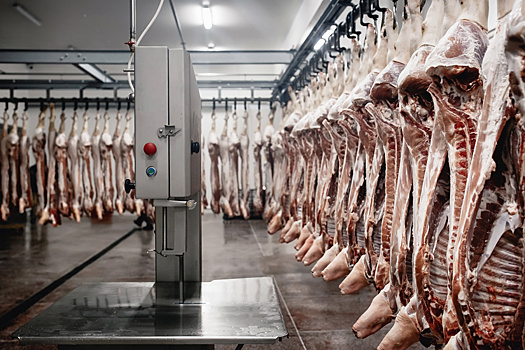 В Селятино откроется новое мясоперерабатывающее производство