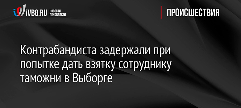 Контрабандиста задержали при попытке дать взятку сотруднику таможни в Выборге