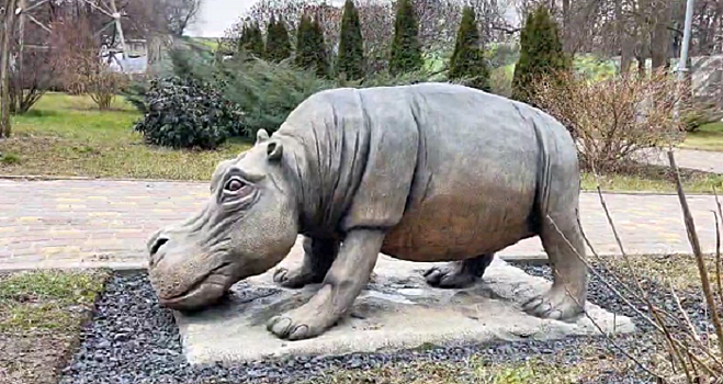 В Ростовском зоопарке установили памятник бегемоту-долгожителю Рифу