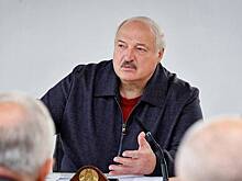 В России отреагировали на возможную встречу спецпосланника Трампа с Лукашенко