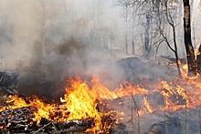 Сильные пожары охватили Красноярский край