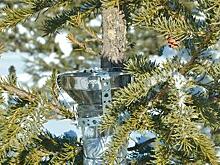 «Ловушки» для пластика установили в Катунском заповеднике