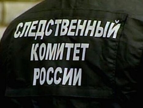 Нелегальный мигрант пытался изнасиловать 17-летнюю девушку в Лукояновском районе