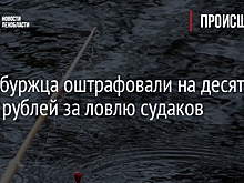 Петербуржца оштрафовали на десятки тысяч рублей за ловлю судаков