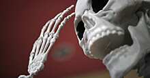 Женский скелет в колготках нашли на чердаке дома в Петербурге