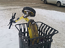 В Екатеринбурге улицы замело снегом