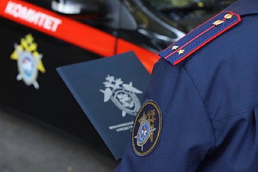 Экс-чиновника минэкономразвития Республики Алтай осудили за махинации с землей