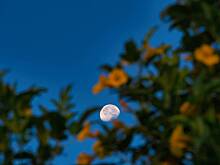 Лунный календарь на сентябрь 2025 года: фазы Луны, благоприятные и неблагоприятные дни