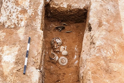 В Израиле найдены загадочные диски с львиными головами