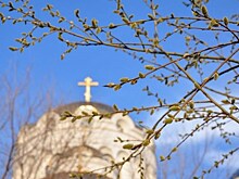 Поздравляем читателей "Ревизора.ru" с Вербным воскресеньем!