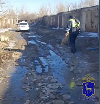 В Самарскойобласти сотрудники дорожно-патрульной службы спасли собаку, провалившуюся в подвал заброшенного гаража