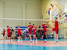 Российские и сербские волейболисты могут провести ответные матчи в России