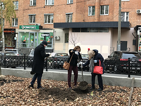 30 деревьев высадили в Звездинском сквере нижегородские налоговики