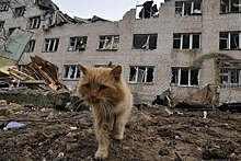 В подконтрольной Киеву части Запорожской области разрушено несколько объектов