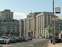 Госдума на этой неделе рассмотрит запрет детям и пьяным выгуливать опасных собак