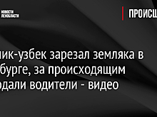 Дворник-узбек зарезал земляка в Петербурге, за происходящим наблюдали водители - видео