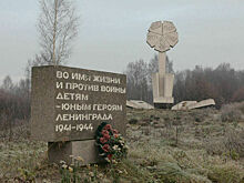 Дума приняла законопроект о списке памятников Великой Отечественной войны в госреестре