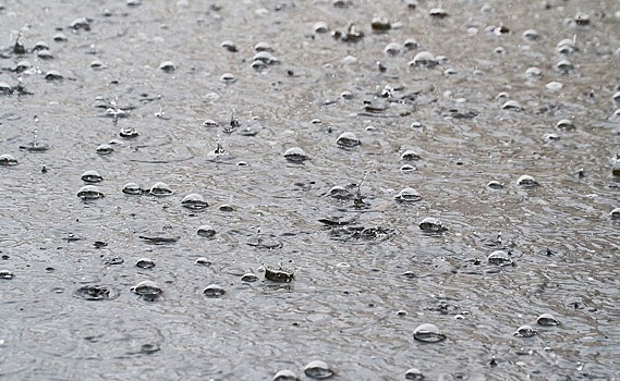 На День ВДВ пензенцам обещают дождливую погоду