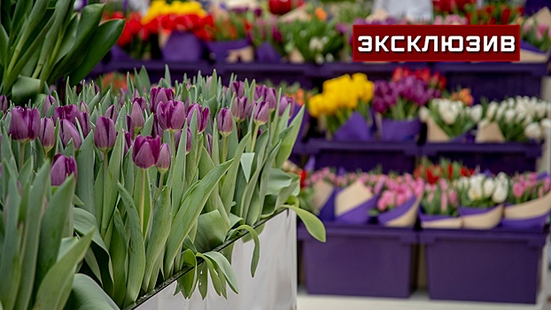 Флорист Сафронова посоветовала не подрезать тюльпаны ножницами