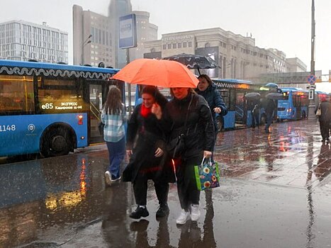 Дептранс призвал москвичей использовать общественный транспорт в непогоду